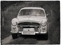 Peugeot 403, 1961, beige, bei einer Ausfahrt in die Kremstaler Weingärten